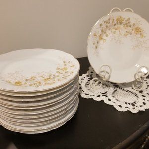 Carlsbad fine China from Austria Luncheon Plates 7 1/2"-Set of 11